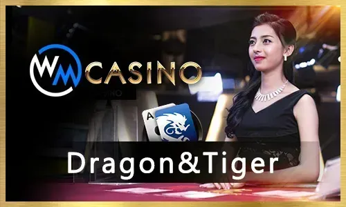 Trusted Casino Provider 6
